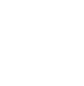 Bears Collective